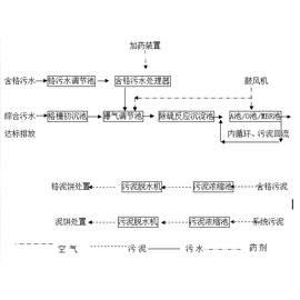 山東省陽信盛鑫實業(yè)有限公司含鉻污水處理工程